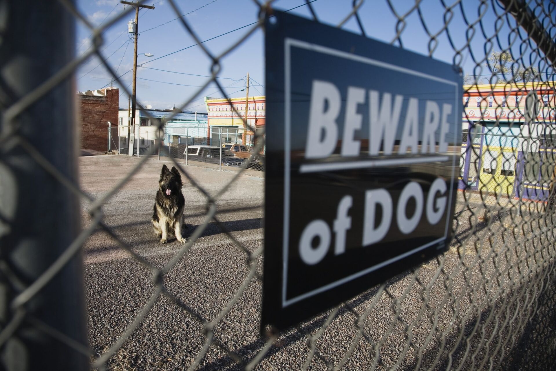 dog bite lawyer Montgomery County, IN